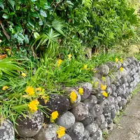 大里の玉石垣の写真・動画_image_673080