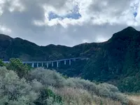 横間海岸の写真・動画_image_673081