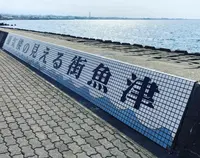 しんきろうロードの写真・動画_image_673958