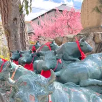 綱敷天満宮の写真・動画_image_674730