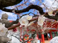 綱敷天満宮の写真・動画_image_674735