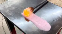 金津創作の森の写真・動画_image_674822