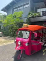 タリンプリンの写真・動画_image_674952