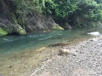 若狭街道（鯖街道）の写真・動画_image_67506