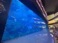 ドバイ・モールの写真・動画_image_675132