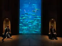 The Lost Chambers Aquariumの写真・動画_image_675167