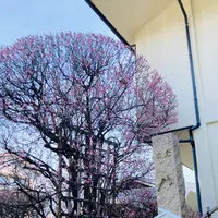 柿本神社の写真・動画_image_675357