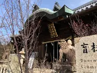 柿本神社の写真・動画_image_675687