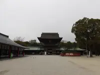 筥崎宮の写真・動画_image_676616