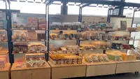敦賀駅の写真・動画_image_676976
