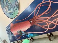 ほたるいかミュージアムの写真・動画_image_677538