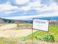 SAYS FARMの写真・動画_image_677598