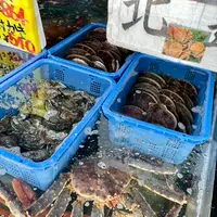 函館朝市の写真・動画_image_679258