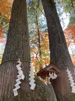 東口本宮冨士浅間神社の写真・動画_image_680521