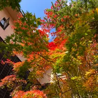 お宿 木の葉の写真・動画_image_680572