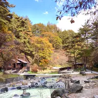 西の河原公園 源泉足湯の写真・動画_image_680615