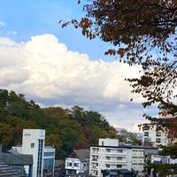 光泉寺の写真・動画_image_680620