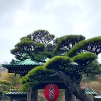 長谷寺の写真・動画_image_680686