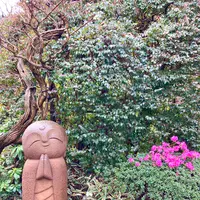 長谷寺の写真・動画_image_680688