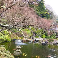 長谷寺の写真・動画_image_680689