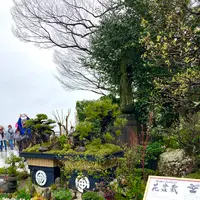 長谷寺の写真・動画_image_680690