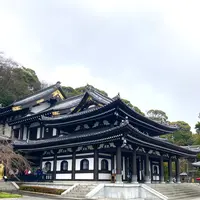 長谷寺の写真・動画_image_680691
