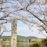 大覚寺の写真・動画_image_681025