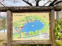 大覚寺の写真・動画_image_681027