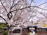 大覚寺の写真・動画_image_681030