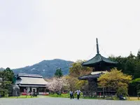 嵯峨釈迦堂（清凉寺）の写真・動画_image_681035