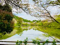龍安寺の写真・動画_image_681068