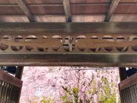 退蔵院の写真・動画_image_681085