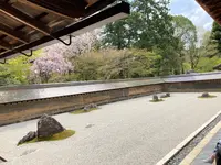 龍安寺の写真・動画_image_681099