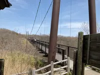 つつじ吊橋の写真・動画_image_681331