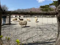 那須高原南ヶ丘牧場の写真・動画_image_681356