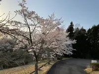 ロイヤルホテル 那須の写真・動画_image_681391