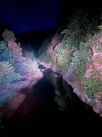 二見吊橋の写真・動画_image_681411