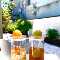梅体験専門店　蝶屋　鎌倉店の写真・動画_image_682140