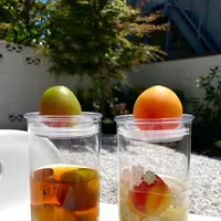 梅体験専門店　蝶屋　鎌倉店の写真・動画_image_682141