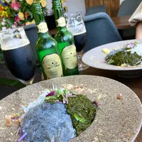 しらす研究所鎌倉の写真・動画_image_682150