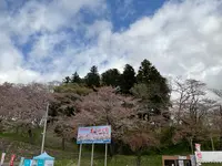 烏帽子山公園の写真・動画_image_682211