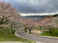 烏帽子山公園の写真・動画_image_682212