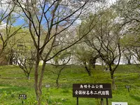 烏帽子山公園の写真・動画_image_682214