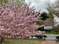 烏帽子山公園の写真・動画_image_682216