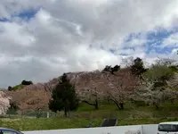 烏帽子山公園の写真・動画_image_682222