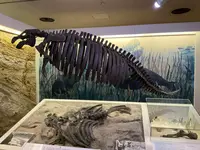 山形県立博物館の写真・動画_image_682346