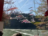 道の駅 白鷹ヤナ公園 あゆ茶屋の写真・動画_image_682356