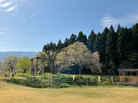 釜の越農村公園の写真・動画_image_682358