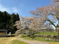 釜の越農村公園の写真・動画_image_682359