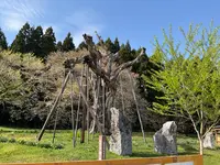 釜の越農村公園の写真・動画_image_682360